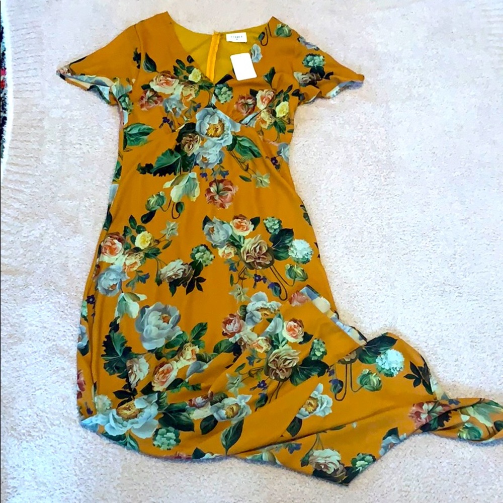 NWT Everly Maxi Dress